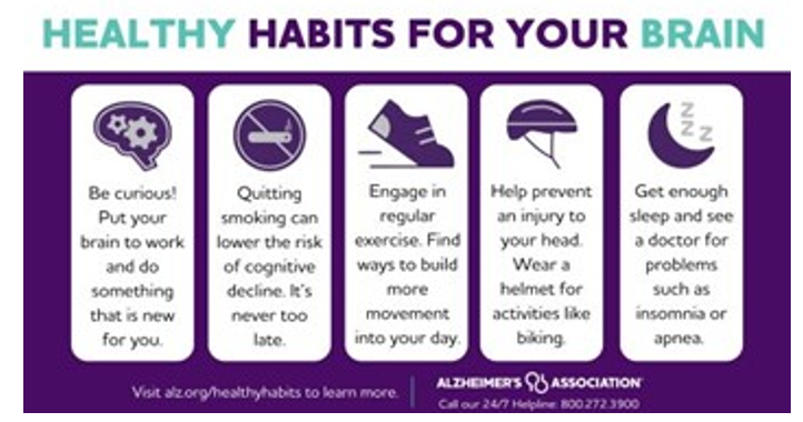 Healthy Habits for your Brian info graphic